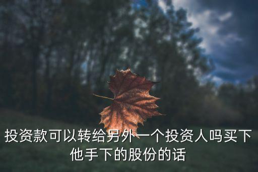 投資款可以轉給另外一個投資人嗎買下他手下的股份的話