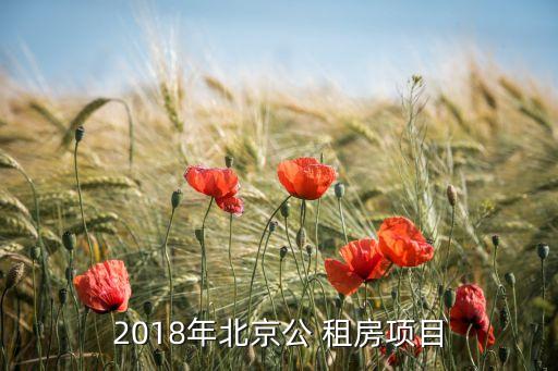 2018年北京公 租房項(xiàng)目