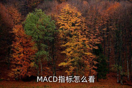 MACD指標(biāo)怎么看