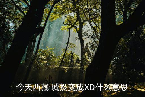 今天西藏 城投變成XD什么意思