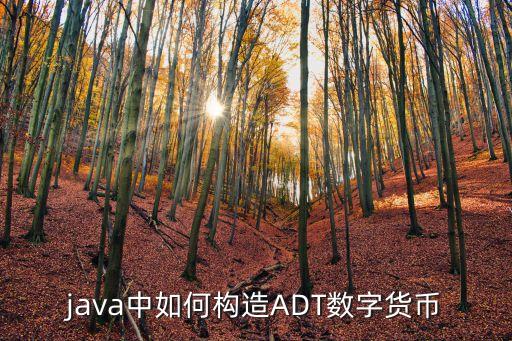 java中如何構(gòu)造ADT數(shù)字貨幣