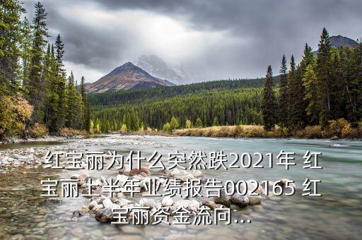  紅寶麗為什么突然跌2021年 紅寶麗上半年業(yè)績報告002165 紅寶麗資金流向...