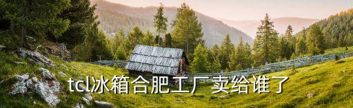  tcl冰箱合肥工廠賣給誰(shuí)了