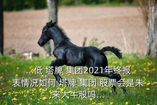 ...低 塔牌 集團(tuán)2021年終報(bào)表情況如何 塔牌 集團(tuán) 股票會(huì)是未來大牛股嗎...