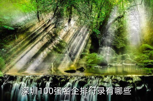 深圳100強(qiáng)名企排行錄有哪些