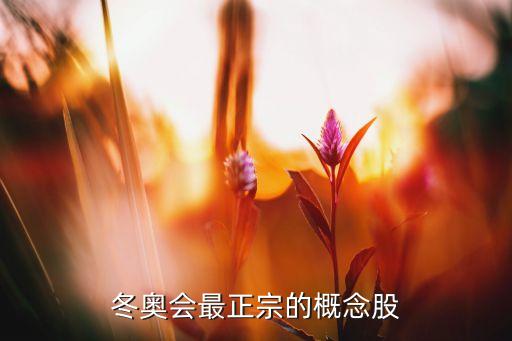 冬奧會(huì)最正宗的概念股