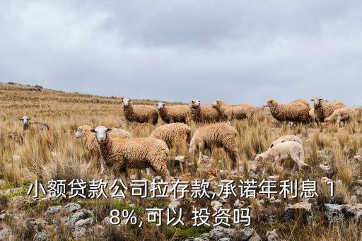 投資18%的回報(bào)可能嗎