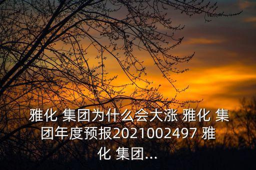  雅化 集團(tuán)為什么會(huì)大漲 雅化 集團(tuán)年度預(yù)報(bào)2021002497 雅化 集團(tuán)...