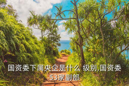 中國投資有限責(zé)任公司級別,正部級央企只有四家名單