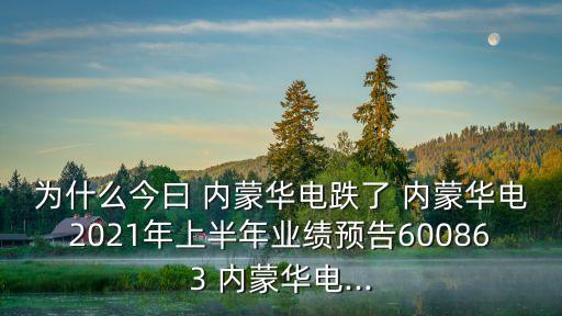 為什么今曰 內(nèi)蒙華電跌了 內(nèi)蒙華電2021年上半年業(yè)績(jī)預(yù)告600863 內(nèi)蒙華電...