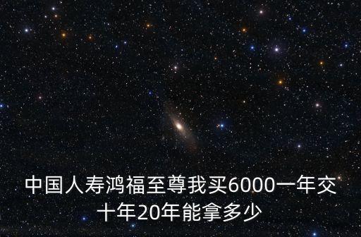 中國(guó)人壽鴻福至尊我買(mǎi)6000一年交十年20年能拿多少