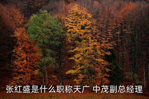 張紅盛是什么職稱天廣 中茂副總經(jīng)理