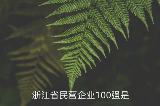  浙江省民營企業(yè)100強(qiáng)是