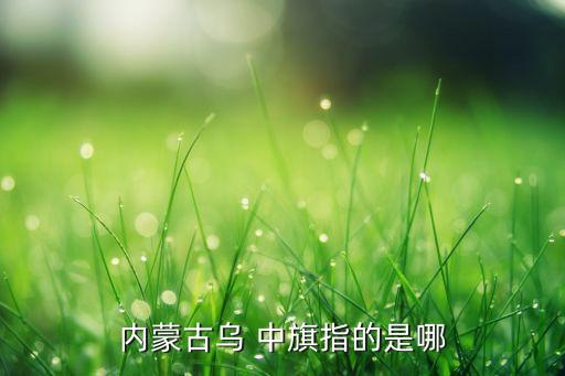 內(nèi)蒙古烏 中旗指的是哪