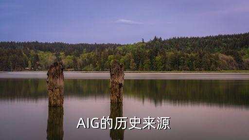 AIG的歷史來源