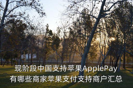 現(xiàn)階段中國(guó)支持蘋(píng)果ApplePay有哪些商家蘋(píng)果支付支持商戶(hù)匯總