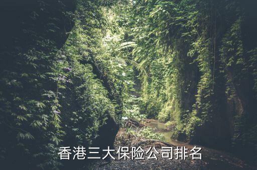  香港三大保險(xiǎn)公司排名