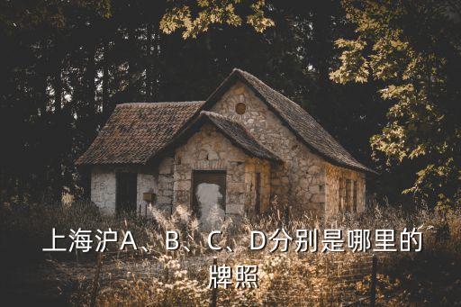  上海滬A、B、C、D分別是哪里的 牌照