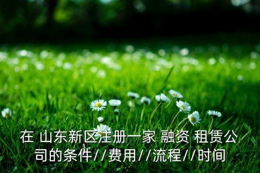 在 山東新區(qū)注冊(cè)一家 融資 租賃公司的條件//費(fèi)用//流程//時(shí)間