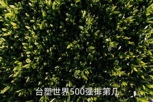  臺(tái)塑世界500強(qiáng)排第幾