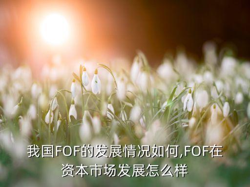 我國(guó)FOF的發(fā)展情況如何,FOF在資本市場(chǎng)發(fā)展怎么樣