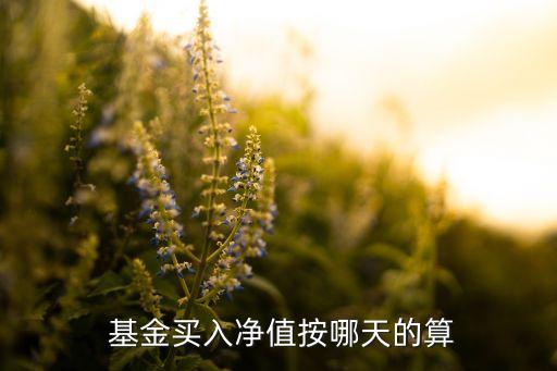 賣基金的價格是按照前一天還是當(dāng)天