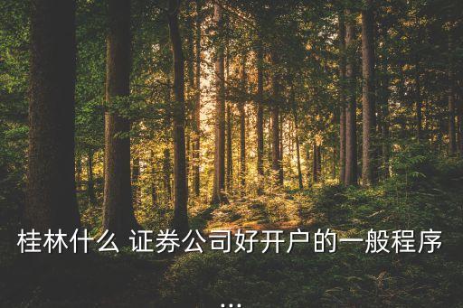 桂林什么 證券公司好開戶的一般程序...