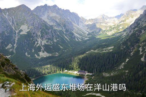 上海外運盛東堆場在洋山港嗎