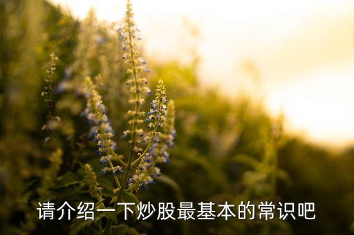 上海石化上市公告書