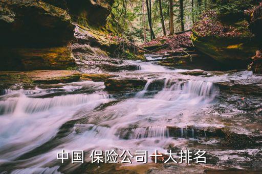 中國 保險(xiǎn)公司十大排名