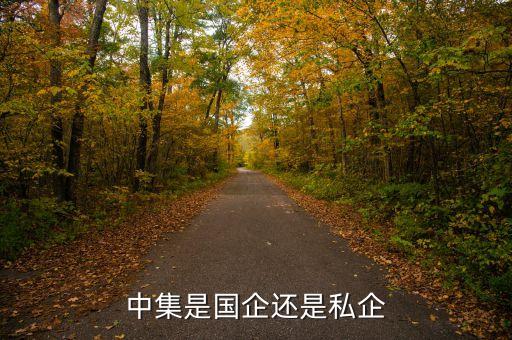 中集集團(tuán)跨國經(jīng)營環(huán)境,企業(yè)跨國經(jīng)營的環(huán)境