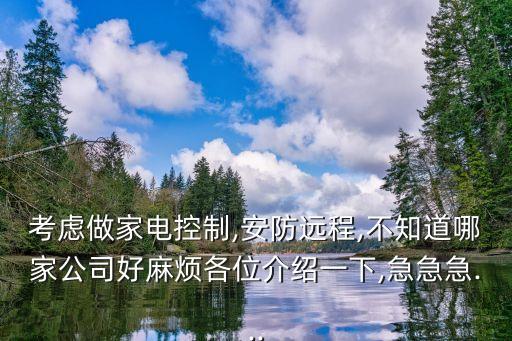 考慮做家電控制,安防遠程,不知道哪家公司好麻煩各位介紹一下,急急急...