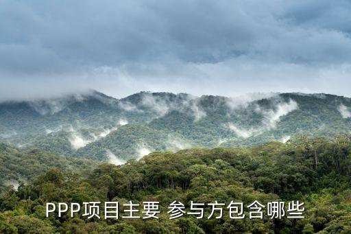 PPP項(xiàng)目主要 參與方包含哪些