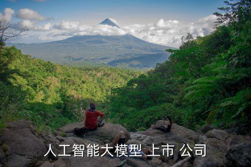 人工智能大模型 上市 公司