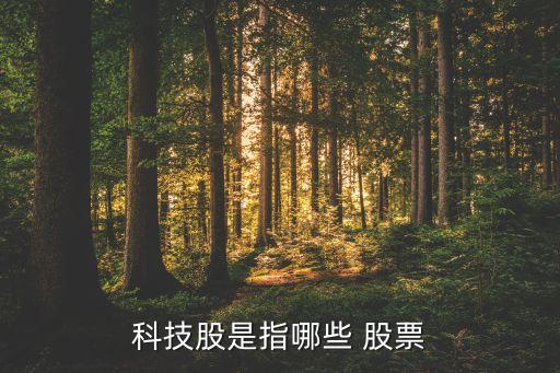 中國軟件股票怎么樣,六脈神劍股票軟件怎么樣