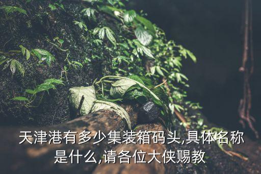  天津港有多少集裝箱碼頭,具體名稱是什么,請(qǐng)各位大俠賜教