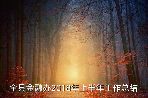 全縣金融辦2018年上半年工作總結(jié)