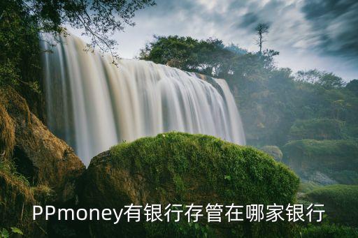 PPmoney有銀行存管在哪家銀行