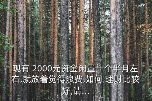 2000元如何投資理財(cái),新手如何投資理財(cái)