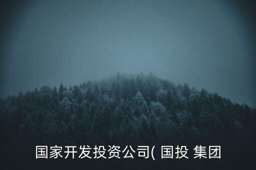 國家開發(fā)投資公司( 國投 集團