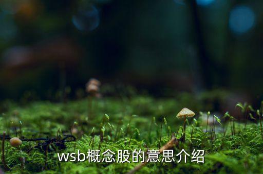 wsb概念股的意思介紹