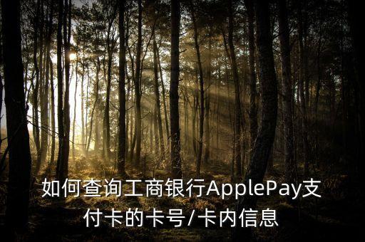 如何查詢(xún)工商銀行ApplePay支付卡的卡號(hào)/卡內(nèi)信息