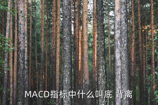 MACD指標(biāo)中什么叫底 背離