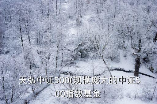  天弘中證500(規(guī)模龐大的中證500指數(shù)基金