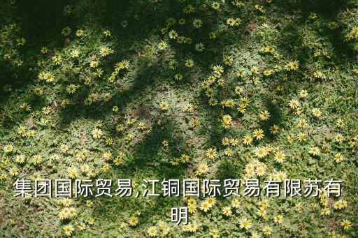 江銅集團國際貿(mào)易,江銅國際貿(mào)易有限蘇有明