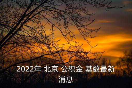 北京公積金基數(shù)調整時間,北京社保公積金基數(shù)調整