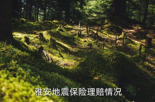  雅安地震保險(xiǎn)理賠情況