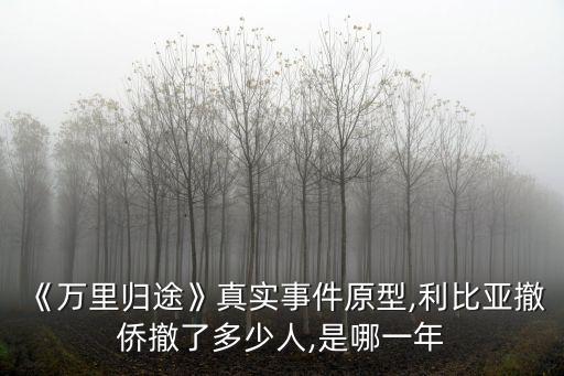 《萬里歸途》真實事件原型,利比亞撤僑撤了多少人,是哪一年