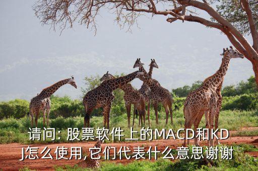 請問: 股票軟件上的MACD和KDJ怎么使用,它們代表什么意思謝謝