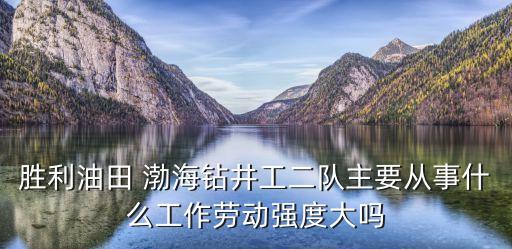 勝利油田 渤海鉆井工二隊(duì)主要從事什么工作勞動(dòng)強(qiáng)度大嗎